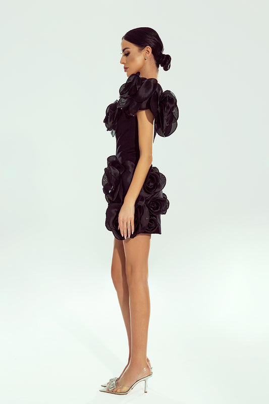 Obsidienne Noir